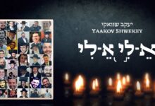 אלי למה עזבתני | יעקב שוואקי בסינגל על אסון מירון