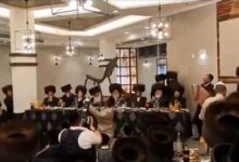 נדיר: תחיית המתים וריקוד הבקבוקים בויז'ניץ • צפו!