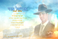 מידד טסה בשיר חדש לזכר אחיו שטבע במקווה - "אביאל אחי"