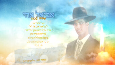 מידד טסה בשיר חדש לזכר אחיו שטבע במקווה - "אביאל אחי"