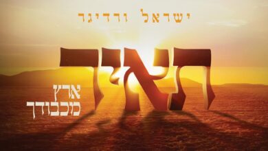 תָּאִיר אֶרֶץ מִכְּבוֹדֶךָ • הלהיט החדש של שרולי ורדיגר