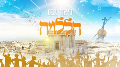 צפו: ליאור גבע בסינגל ראשון - "הללויה"