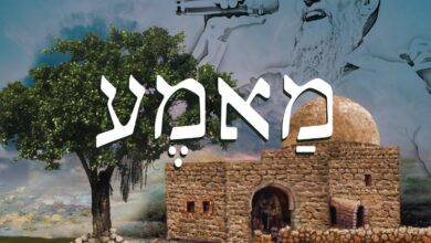 צפו: אברהם פריד בלהיט חדש - "מאמע