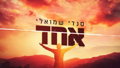 שיר חדש של סנדי שמואלי - "אחד"