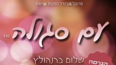שלום ברנהולץ בגרסה ווקאלית - "עם סגולה"