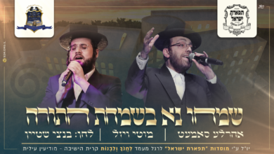 מוטי ויזל