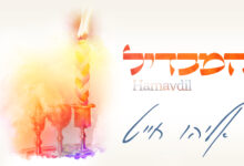 הזמר