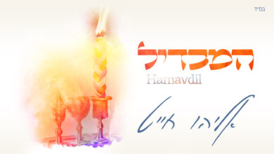 הזמר