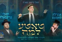 גרינפעלד